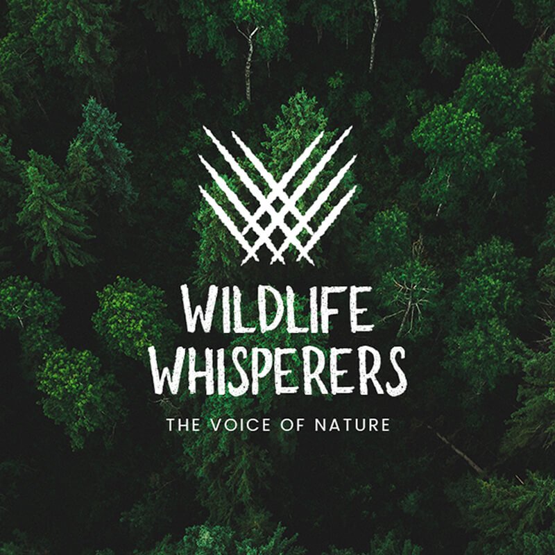 About Us 8 Nature based Workshops in hyderabad