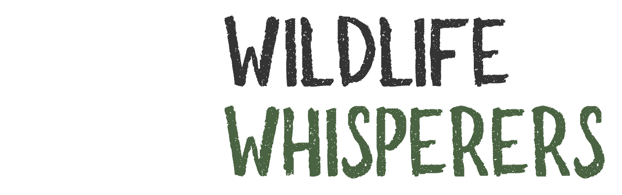 Wildlife Whisperers