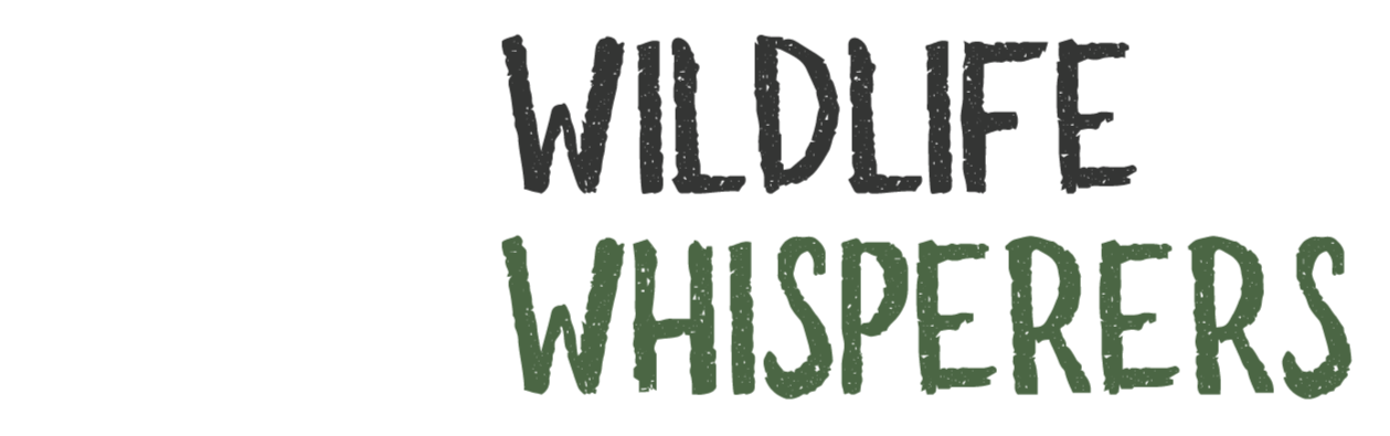 Wildlife Whisperers