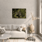 Wild Animal Photo Frame