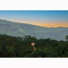 Wild Animal Photo Frame