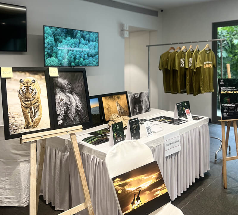 NICESamanvay 4 NICESamanvay