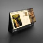 Wildlife Wonders Calendar 2025
