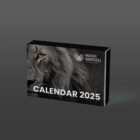 2025 Desk Calendar