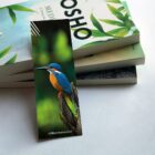 Wildlife Wonders Calendar 2025