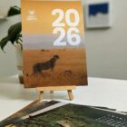 2026 Desk Calendar 2