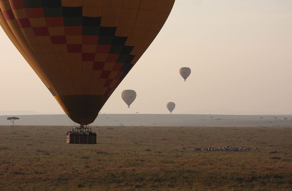 Curated Itineraries_1 svg+xml;charset=utf