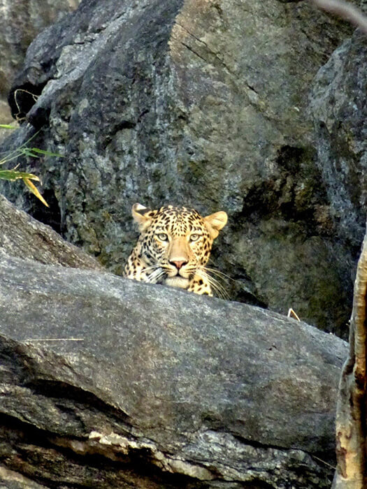 Curated Itineraries_10 svg+xml;charset=utf