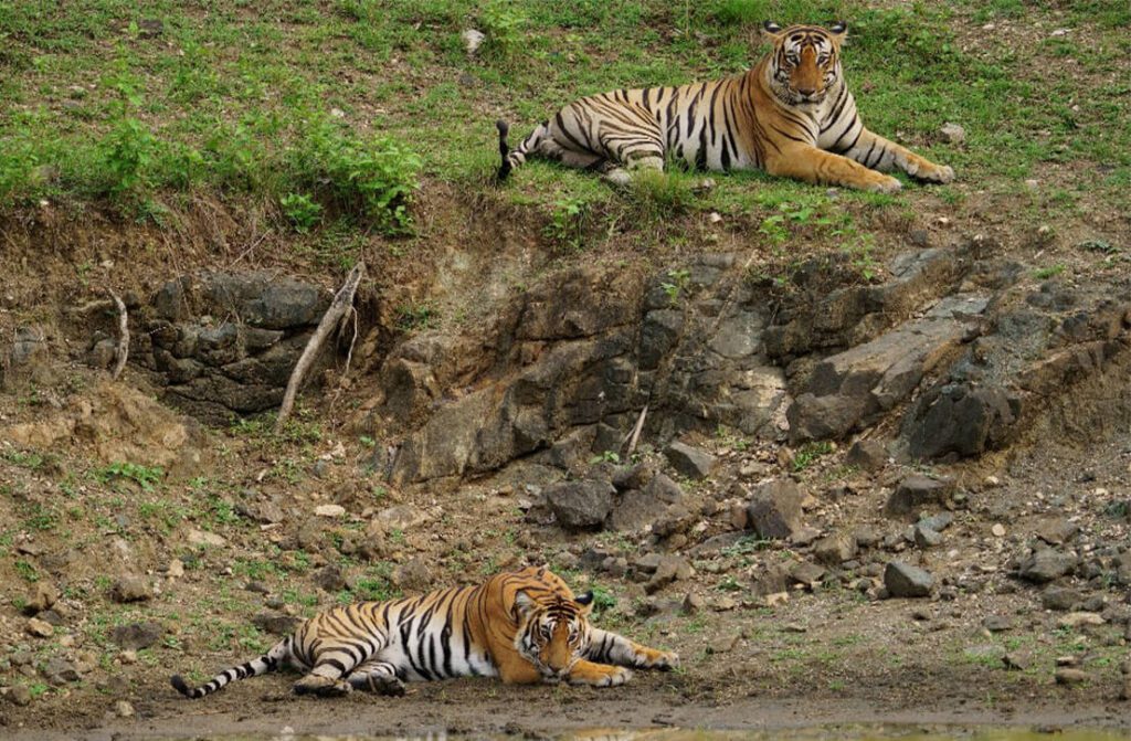 Curated Itineraries_11 svg+xml;charset=utf