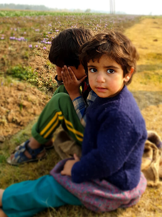 Curated Itineraries_8 svg+xml;charset=utf