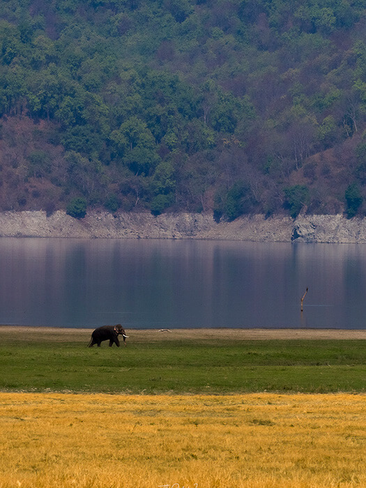 Curated Itineraries_9 svg+xml;charset=utf