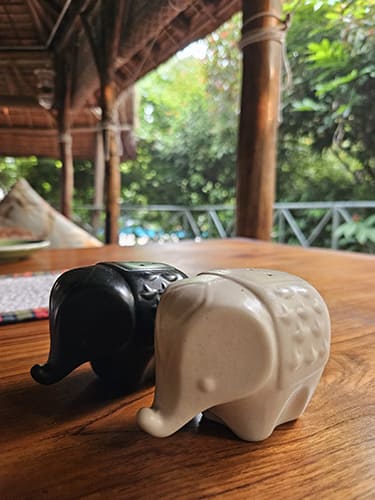 Handpicked Stays_10 svg+xml;charset=utf