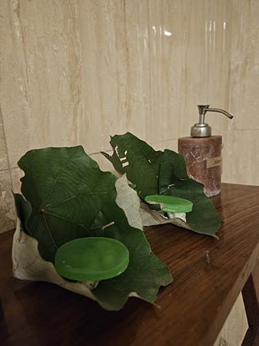 Handpicked Stays_11 svg+xml;charset=utf