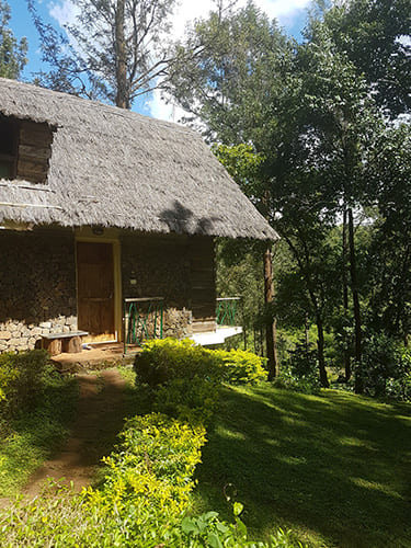 Handpicked Stays_12 svg+xml;charset=utf