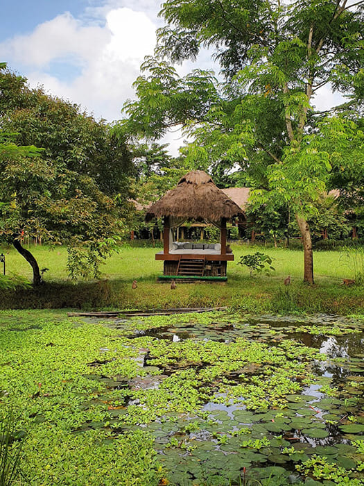 Handpicked Stays_16 svg+xml;charset=utf