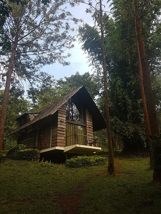 Handpicked Stays_17 svg+xml;charset=utf