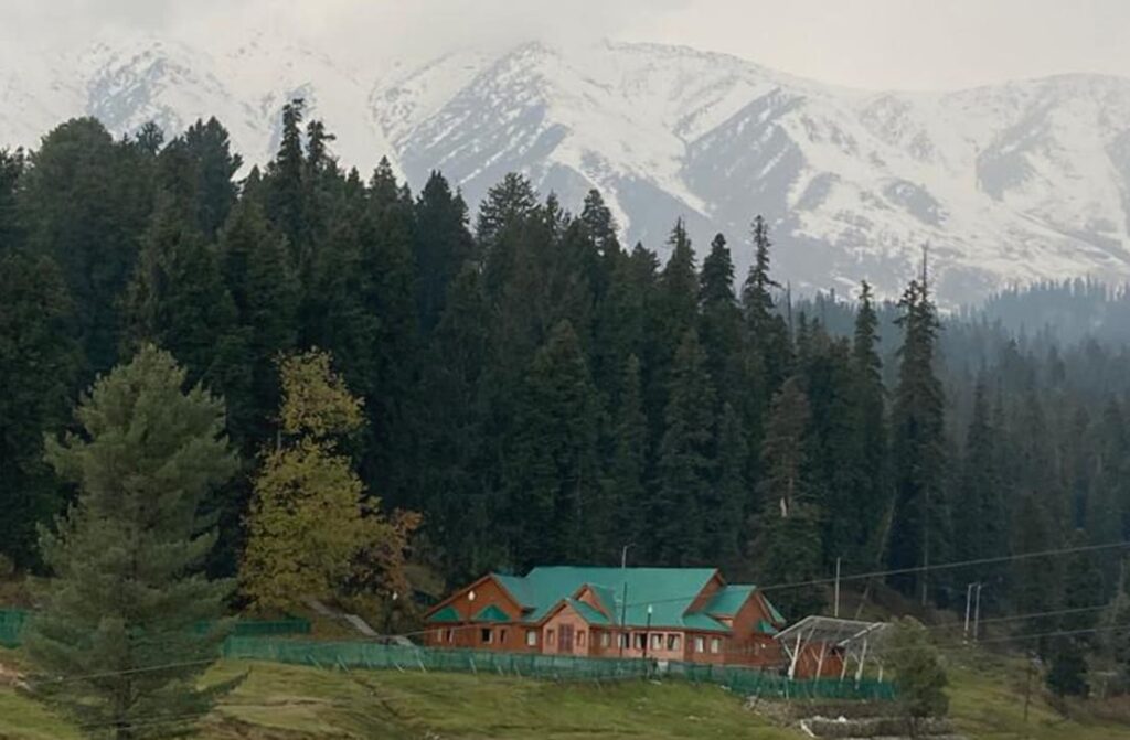 Handpicked Stays_7 svg+xml;charset=utf