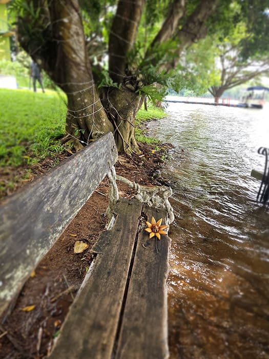 Local Nature and Wildlife Trails_12 svg+xml;charset=utf