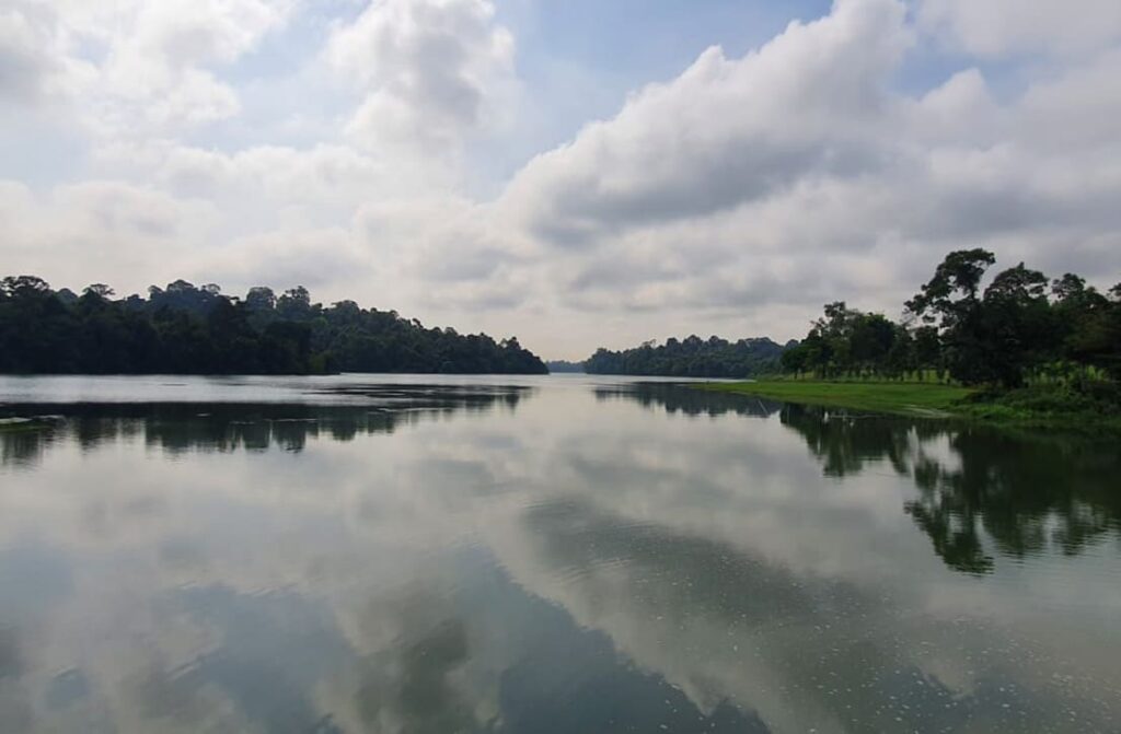 Local Nature and Wildlife Trails_2 svg+xml;charset=utf