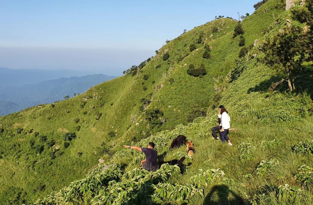 Local Nature and Wildlife Trails_4 svg+xml;charset=utf