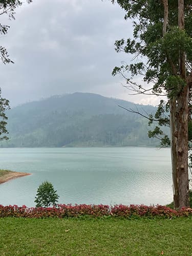 Local Nature and Wildlife Trails_5 svg+xml;charset=utf