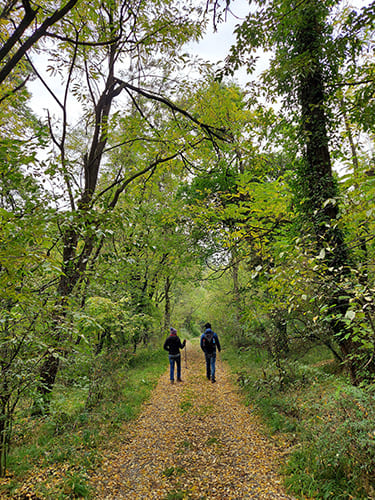 Local Nature and Wildlife Trails_7 svg+xml;charset=utf