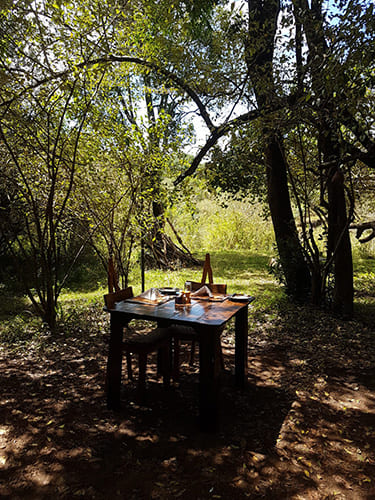 Local Nature and Wildlife Trails_8 svg+xml;charset=utf