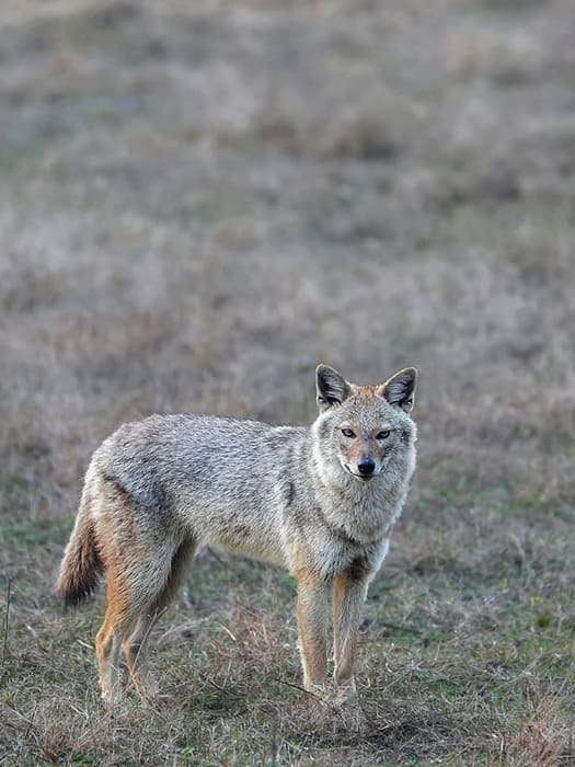 Top Drivers_10 svg+xml;charset=utf