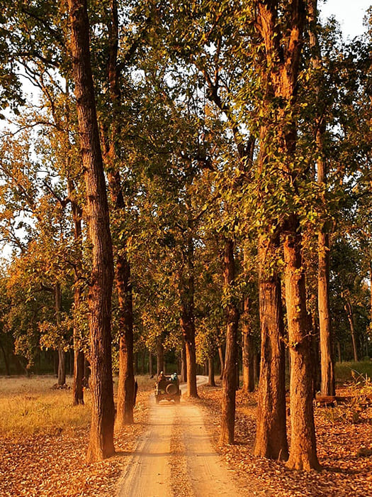 Top Drivers_11 svg+xml;charset=utf