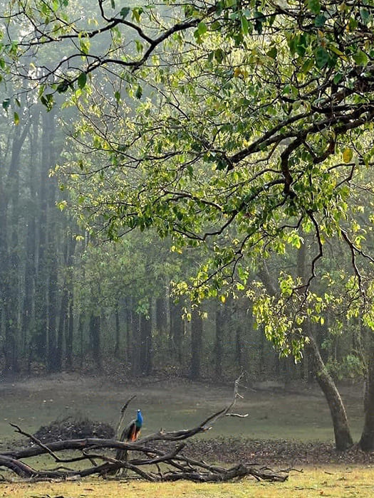 Top Drivers_12 svg+xml;charset=utf