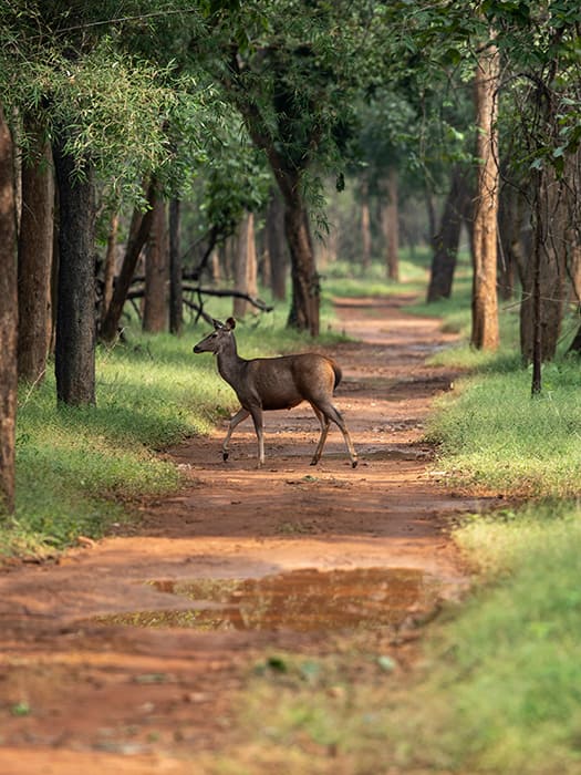 Top Drivers_13 svg+xml;charset=utf