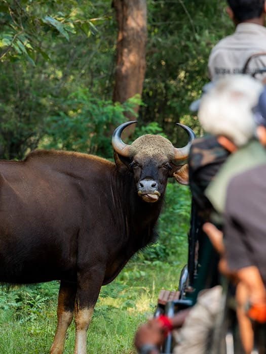 Top Drivers_14 svg+xml;charset=utf