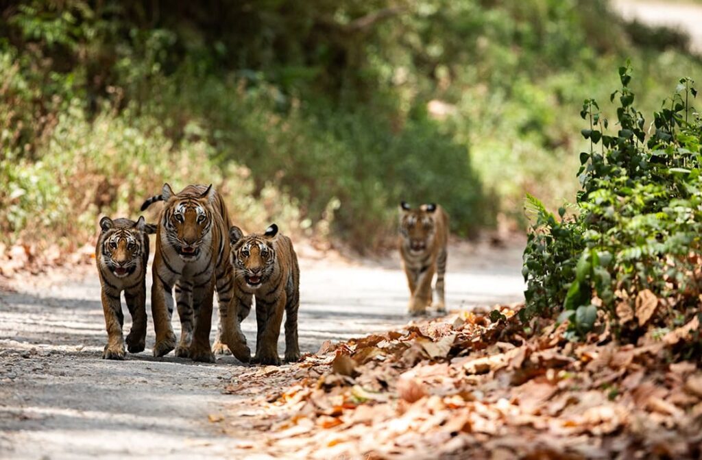 Top Drivers_3 svg+xml;charset=utf