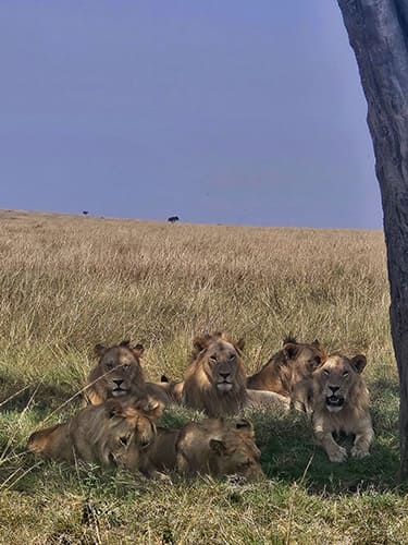 Top Drivers_4 svg+xml;charset=utf