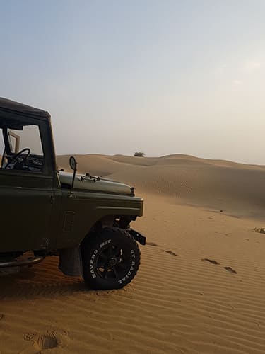 Top Drivers_5 svg+xml;charset=utf