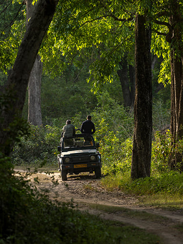 Top Drivers_7 svg+xml;charset=utf