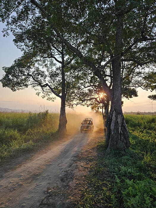 Top Drivers_8 svg+xml;charset=utf