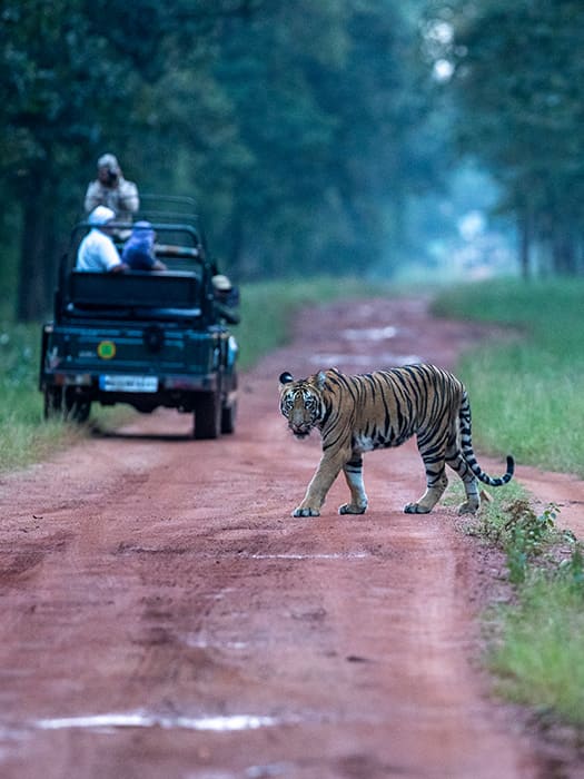 Top Drivers_9 svg+xml;charset=utf