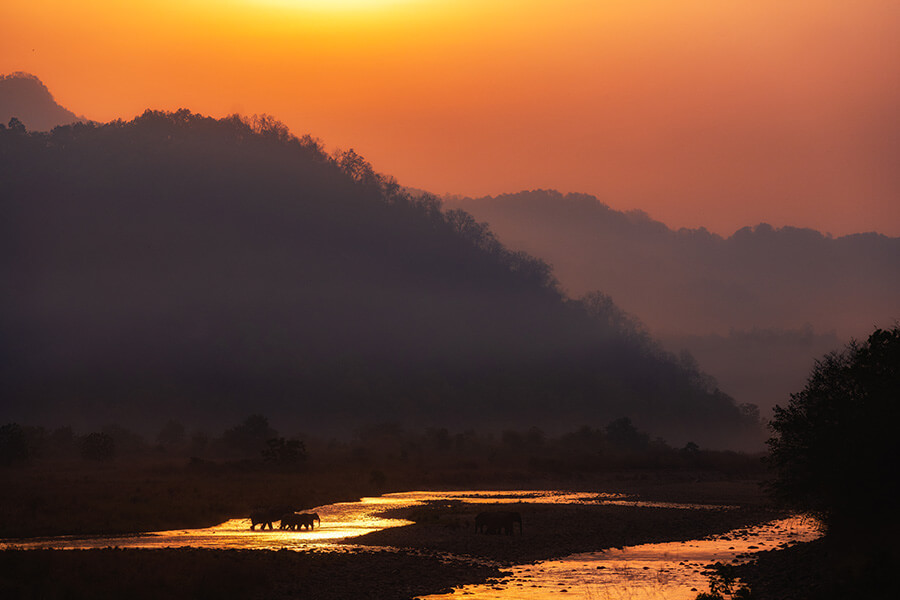 WW_PT_51 svg+xml;charset=utf